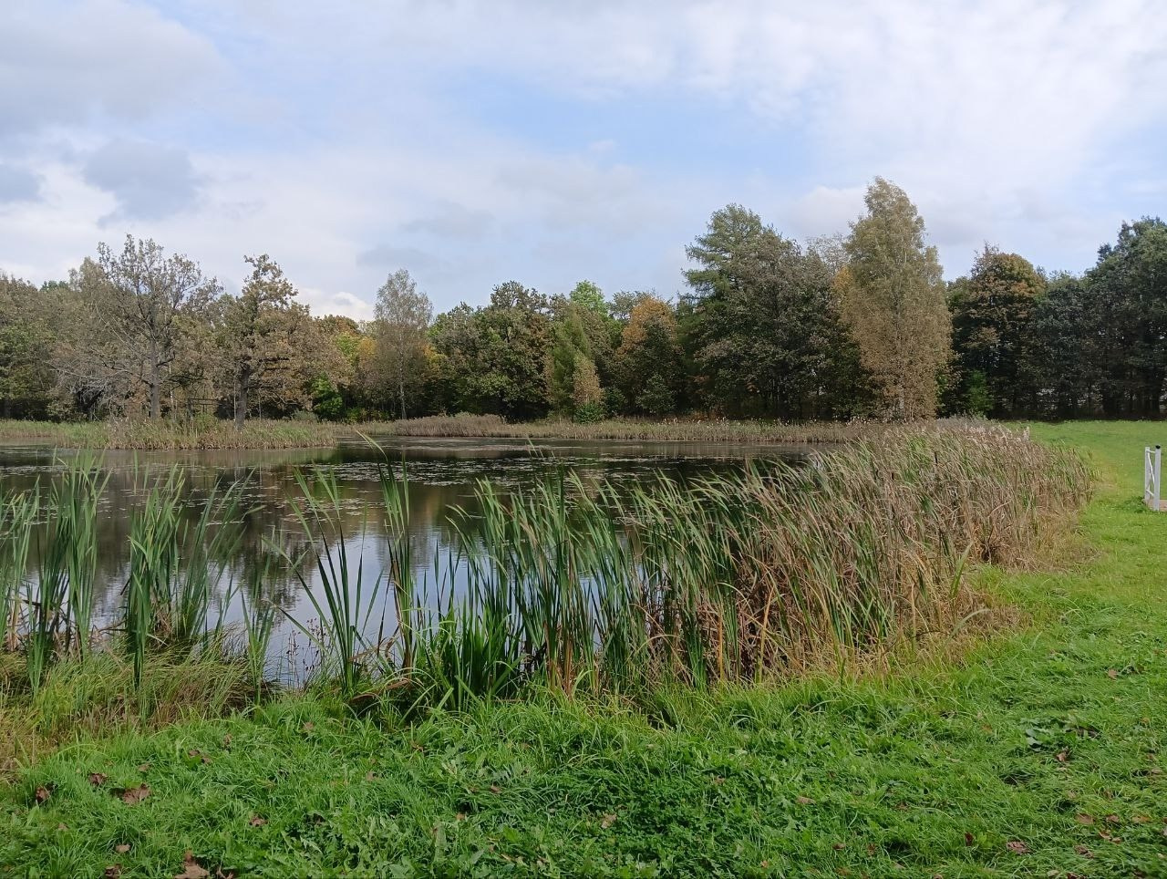 Вязьма. Экскурсионная поездка | 28.09.2024. Галерея Фантим