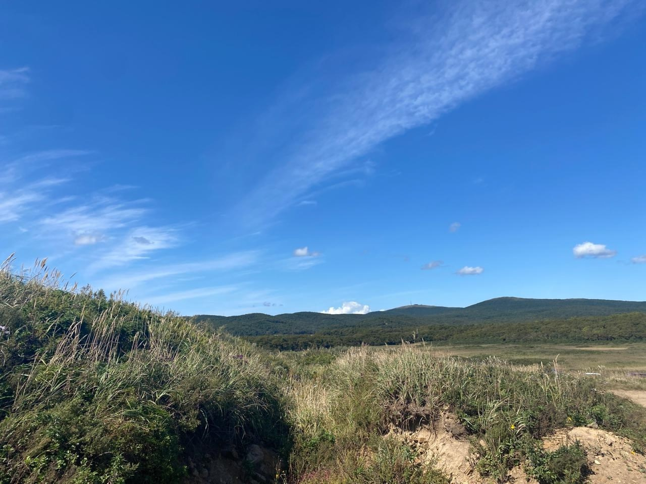 Владивосток 1 | 18-21.09.2025. Галерея Фантим