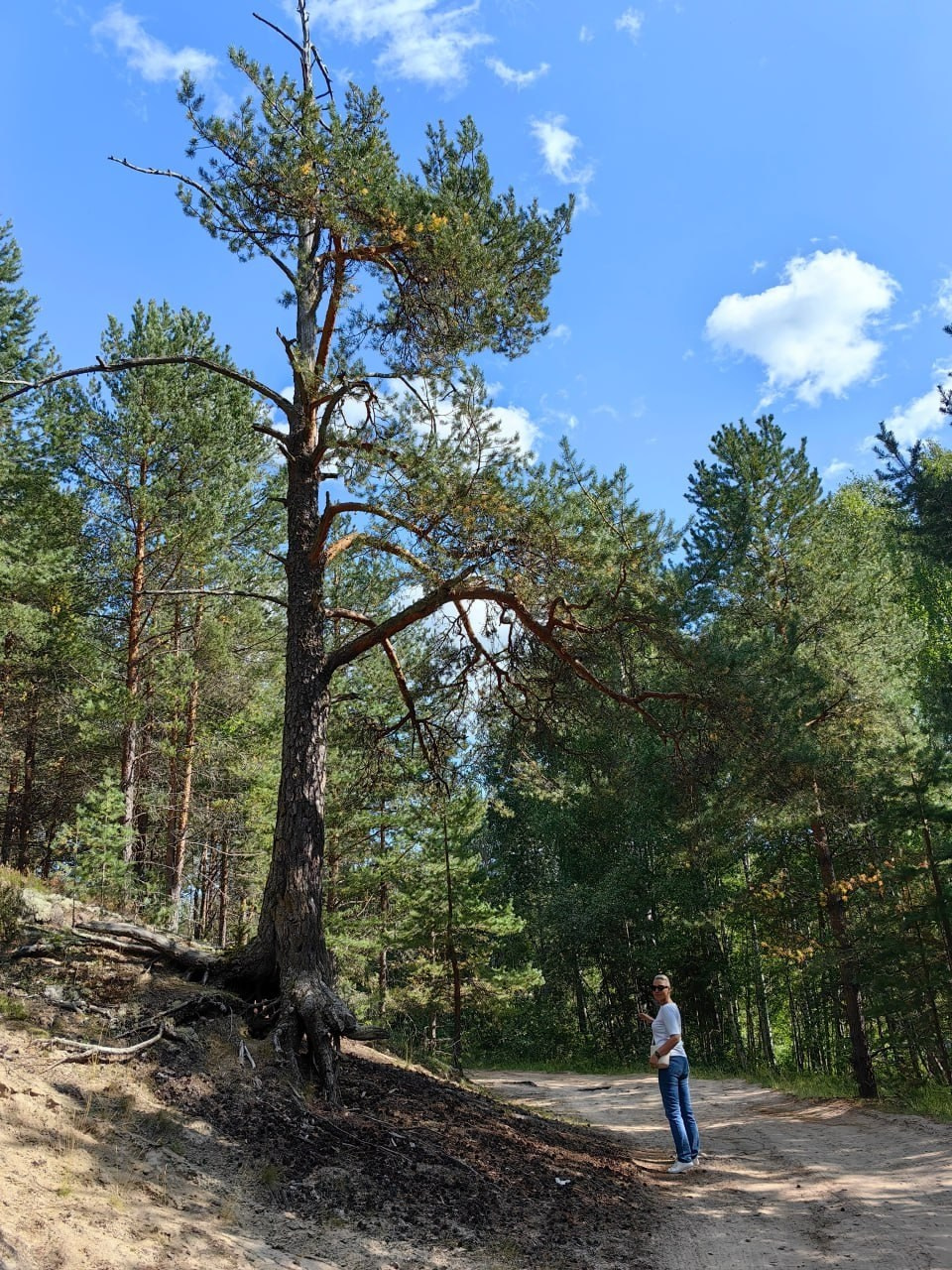 Карелия | 16-18.08.24. Галерея Фантим