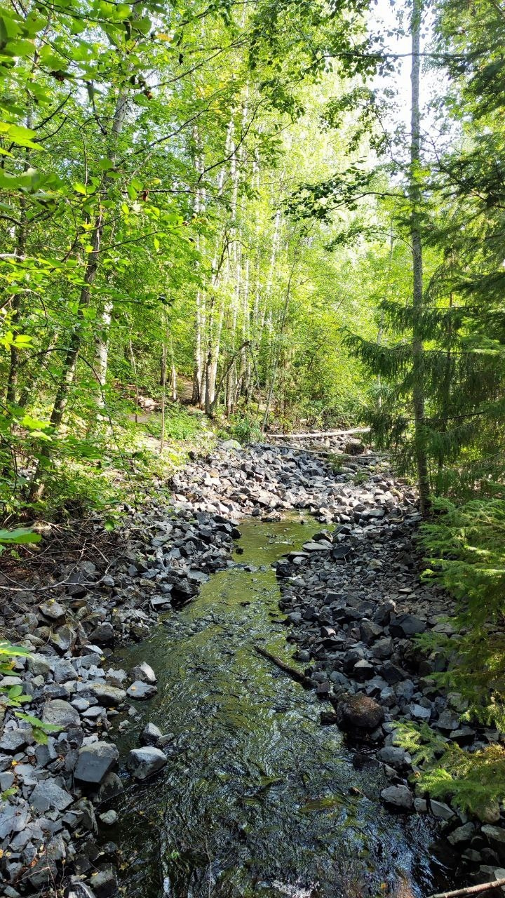 Карелия | 16-18.08.24. Галерея Фантим