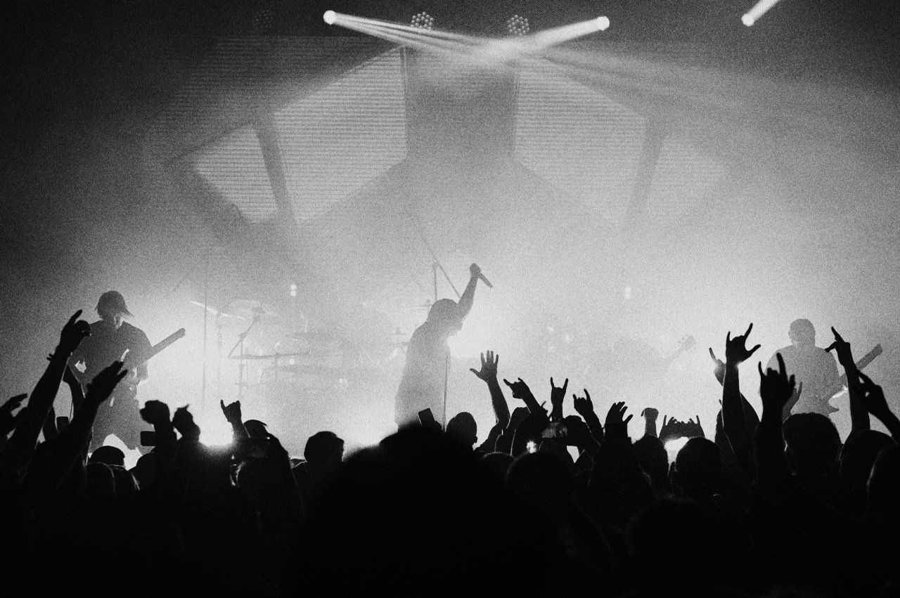 Портфолио. Live.loud.shot