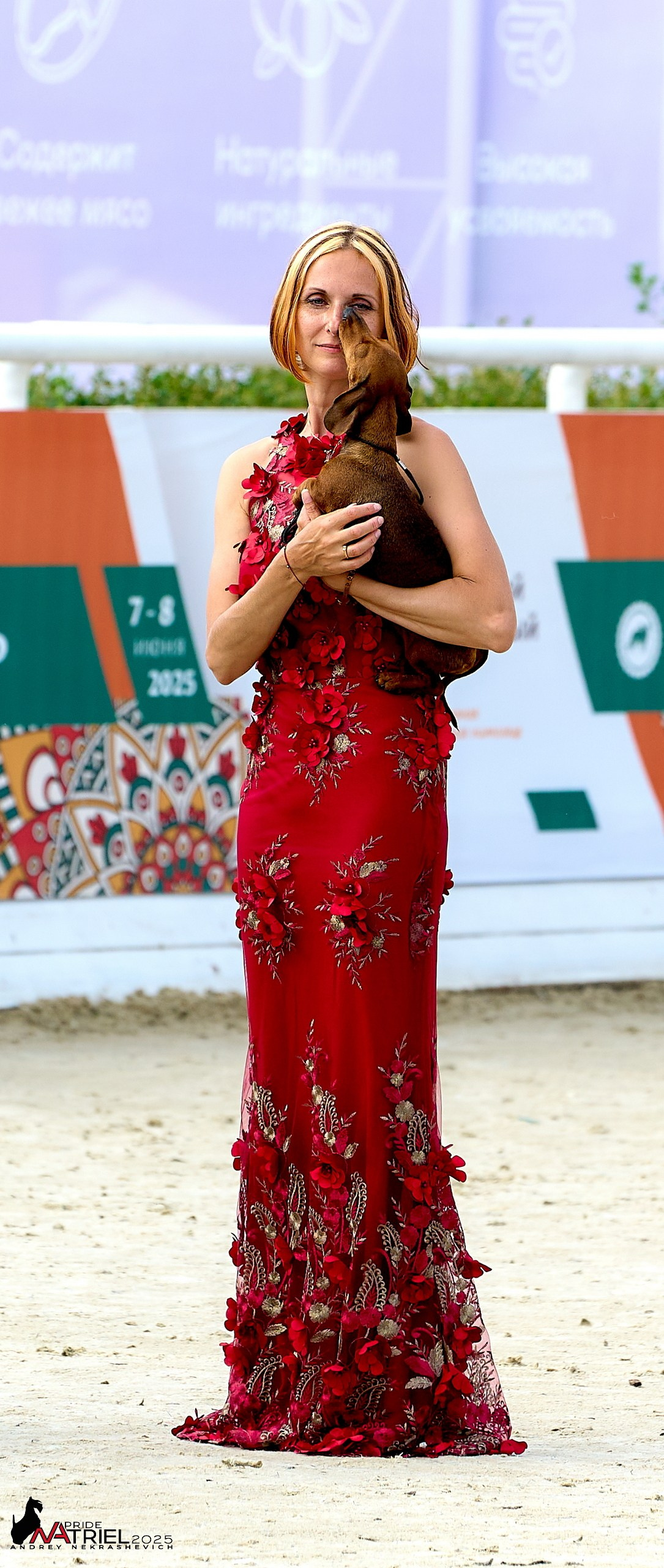 Выставка собак РОССИЯ — 2025