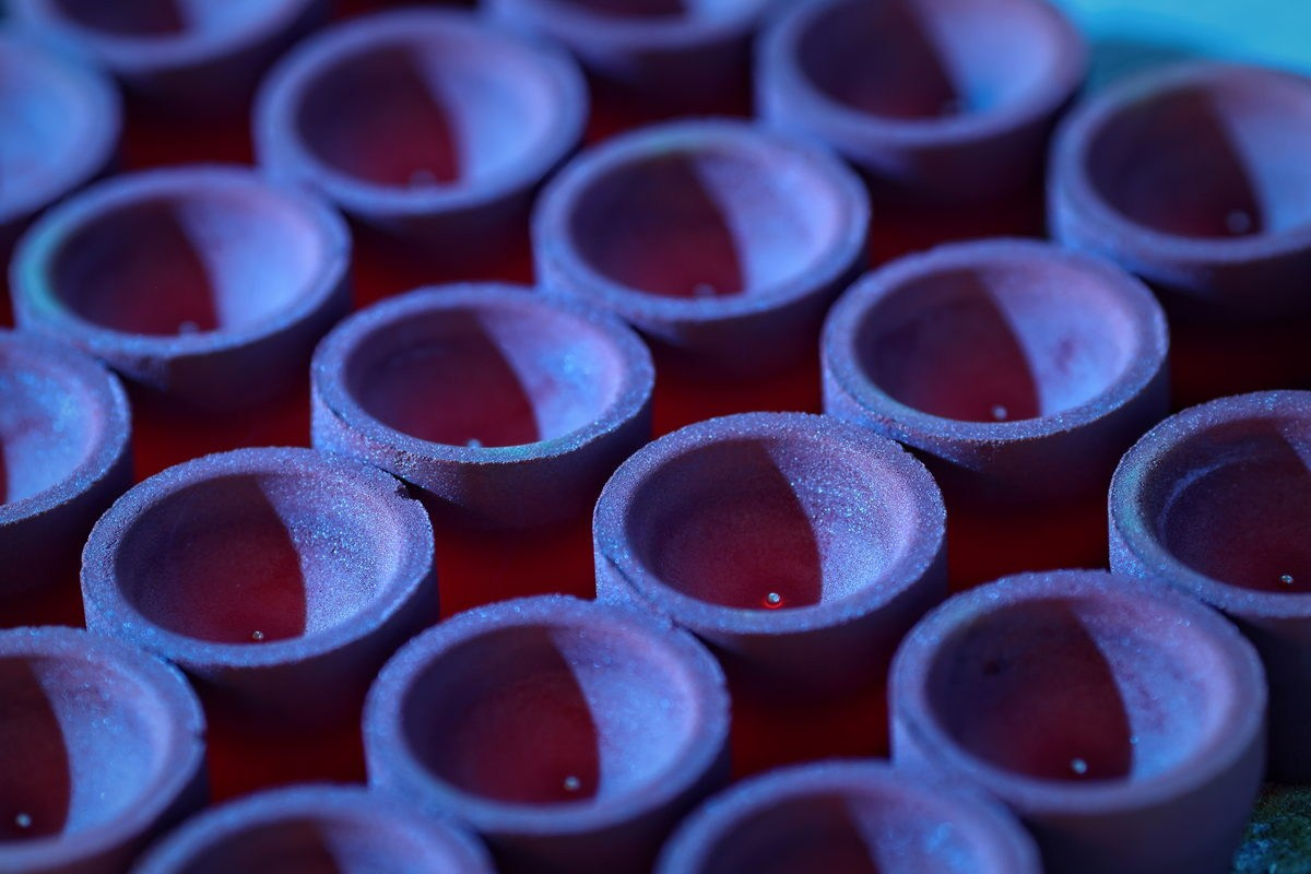 Poluys. Павел Маркелов, фотограф