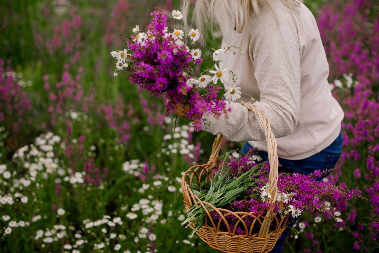 Травы. Портретный и семейный фотограф Магнитогорск Евгения Ионова