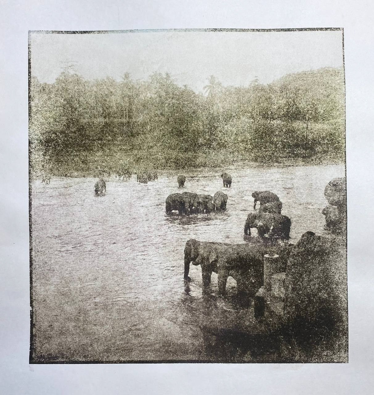 Работы. Об авторе