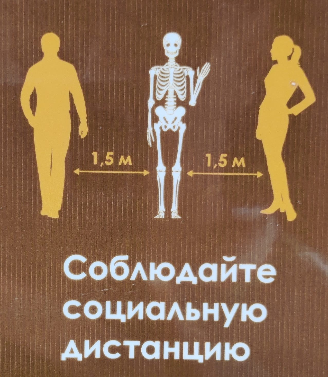 Новосибирск | 2024. Галерея Фантим