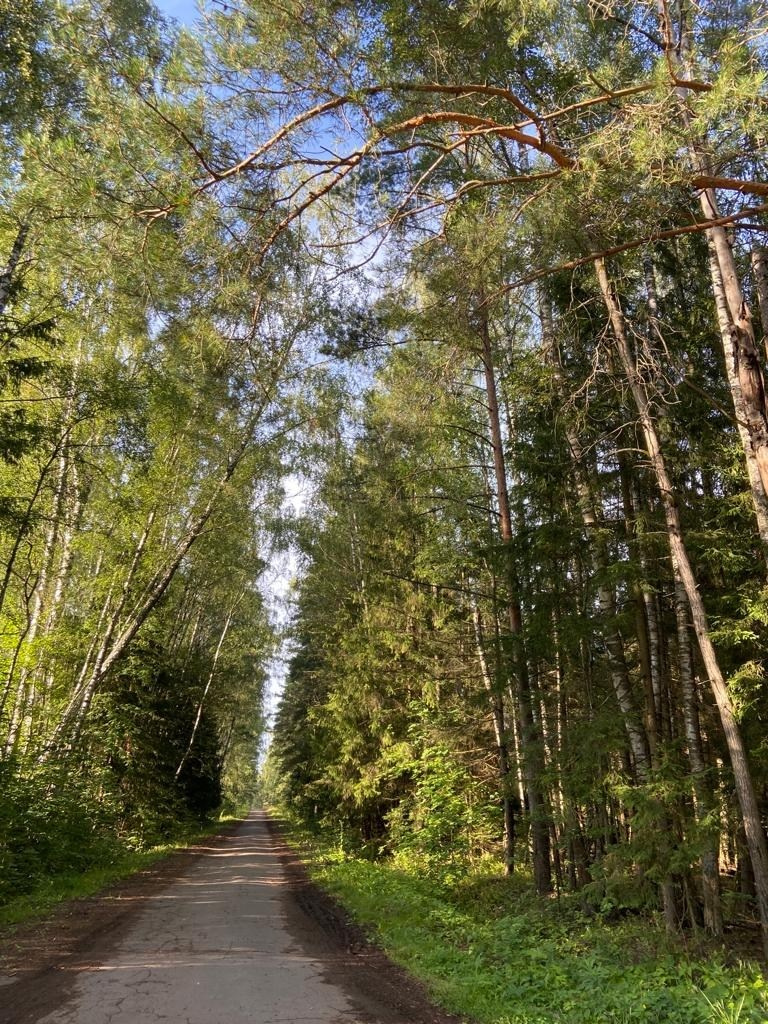 Звенигород | 29.06.2023. Галерея Фантим