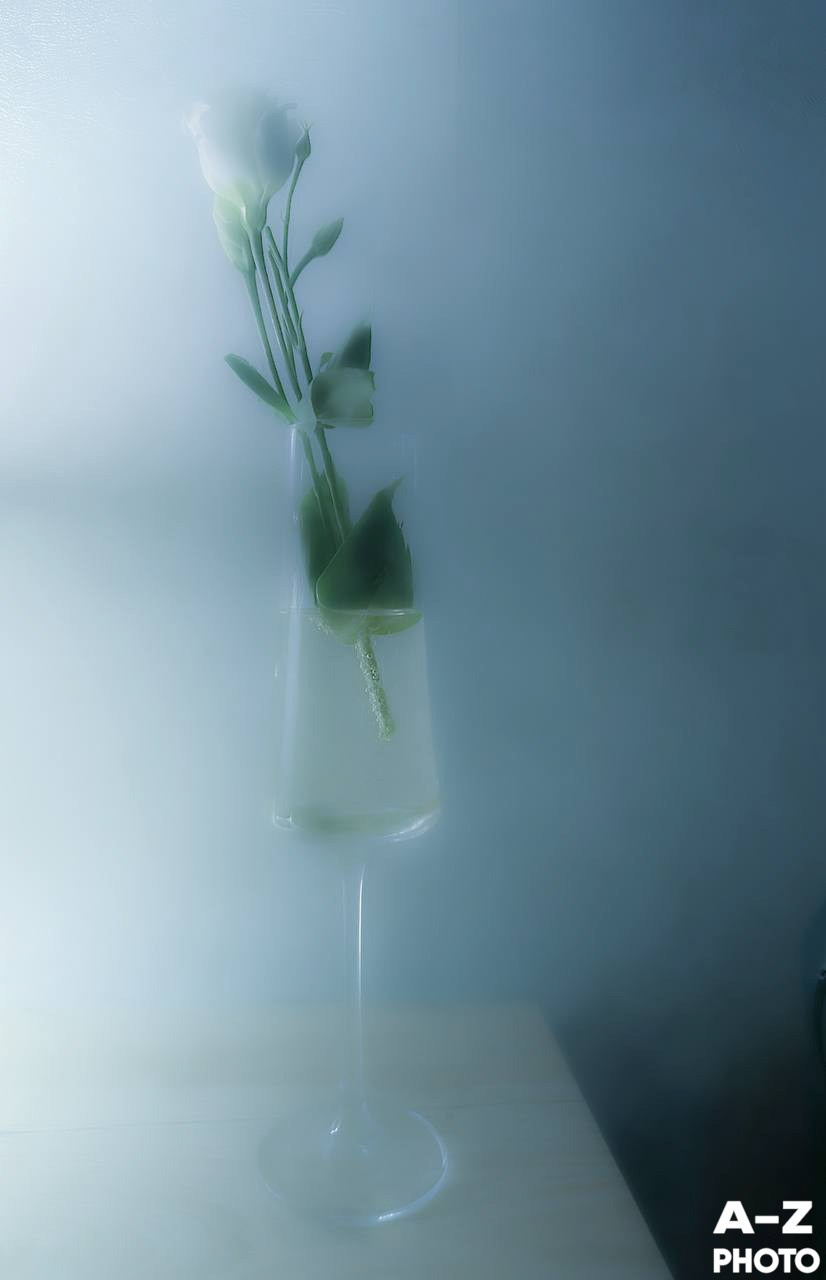 #ФОТОНЕДЕЛИ 08.12.2025. Женский семейный фотограф Тула Москва Захарова Анна