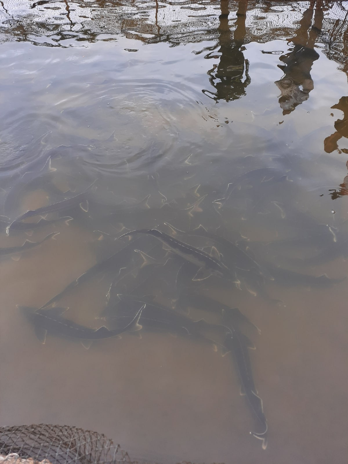 Астрахань | 17-18.10.2020. Галерея Фантим