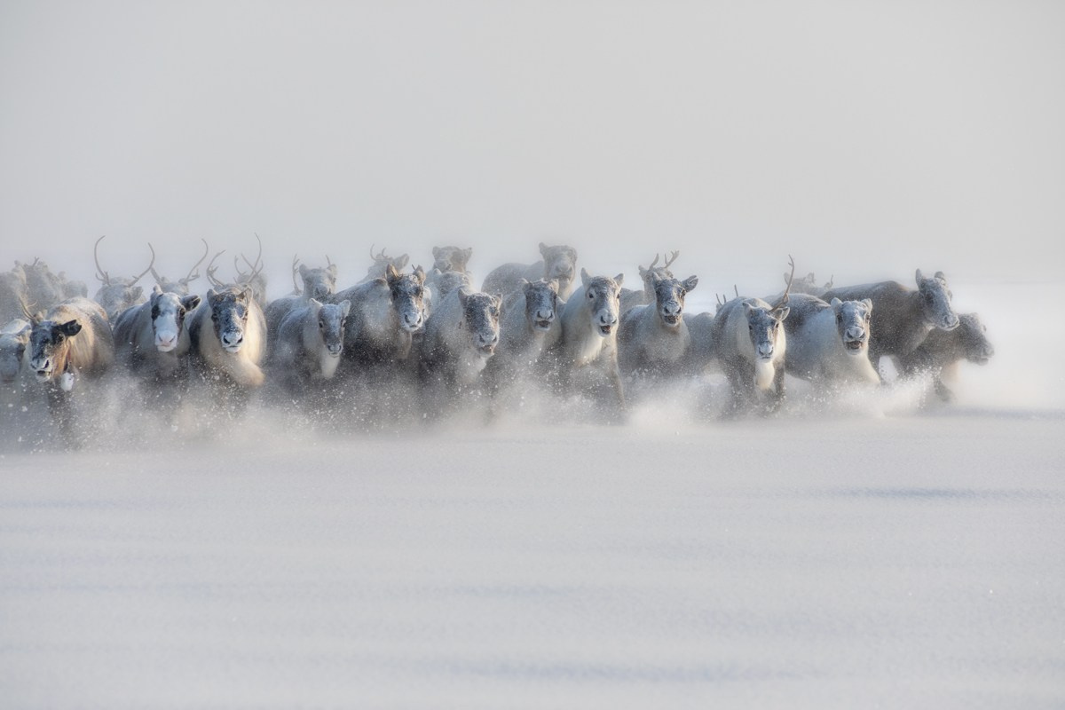 Пейзаж. Фотограф Александр Чазов