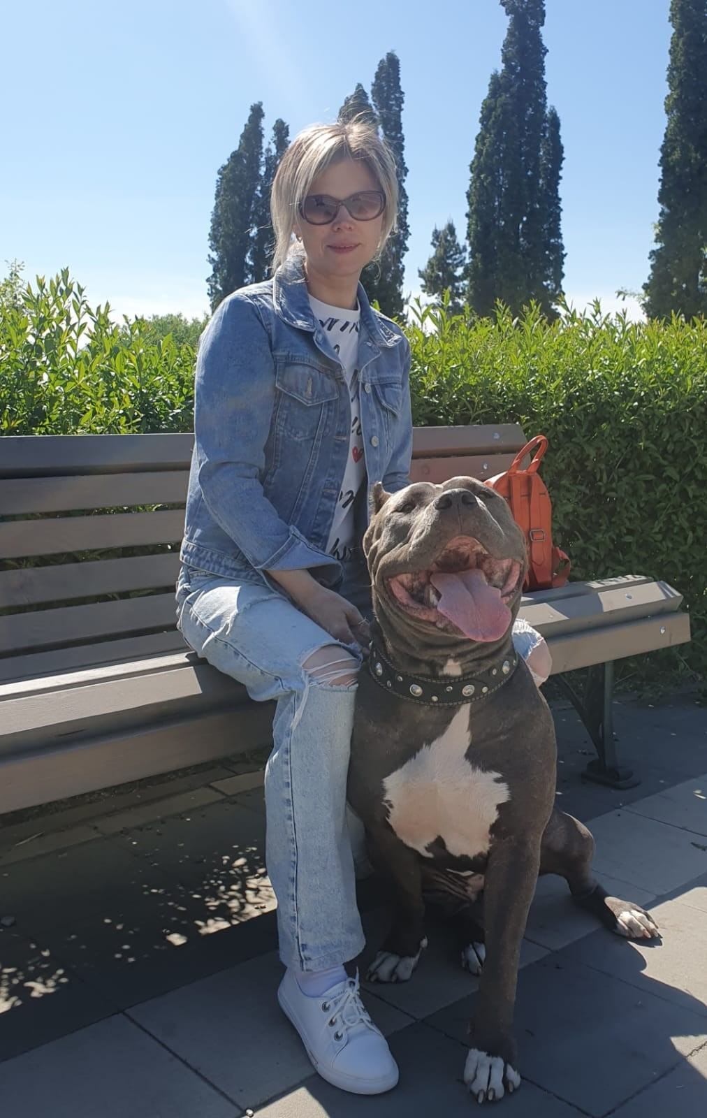UPB’s Queenie & Zeus. 16.04.24. Американские булли XL в г. Калининград. Питомник Great Bully UNIVERSE