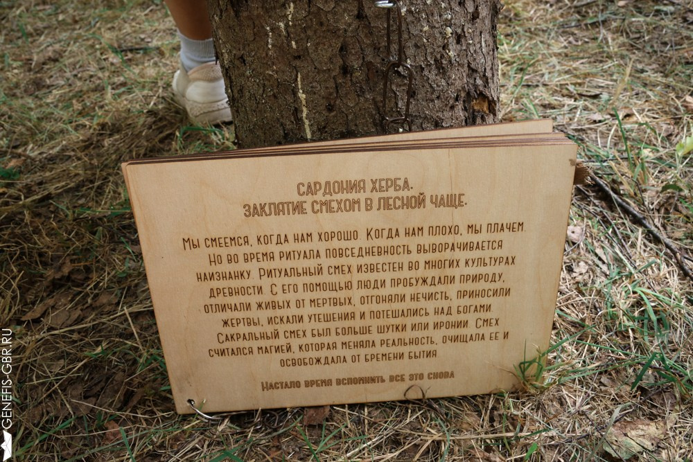 Фестиваль Архстояние. Репортажный и интерьерный фотограф Александра Солдатова