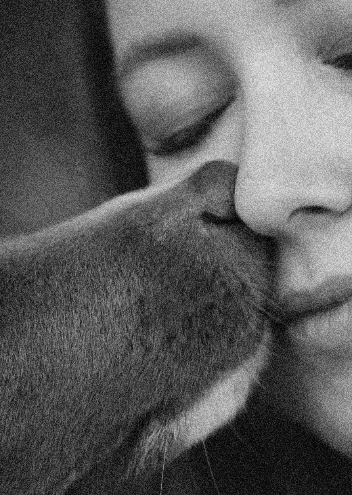 Даша и Дже. Фотограф-анималист Богданова Полина