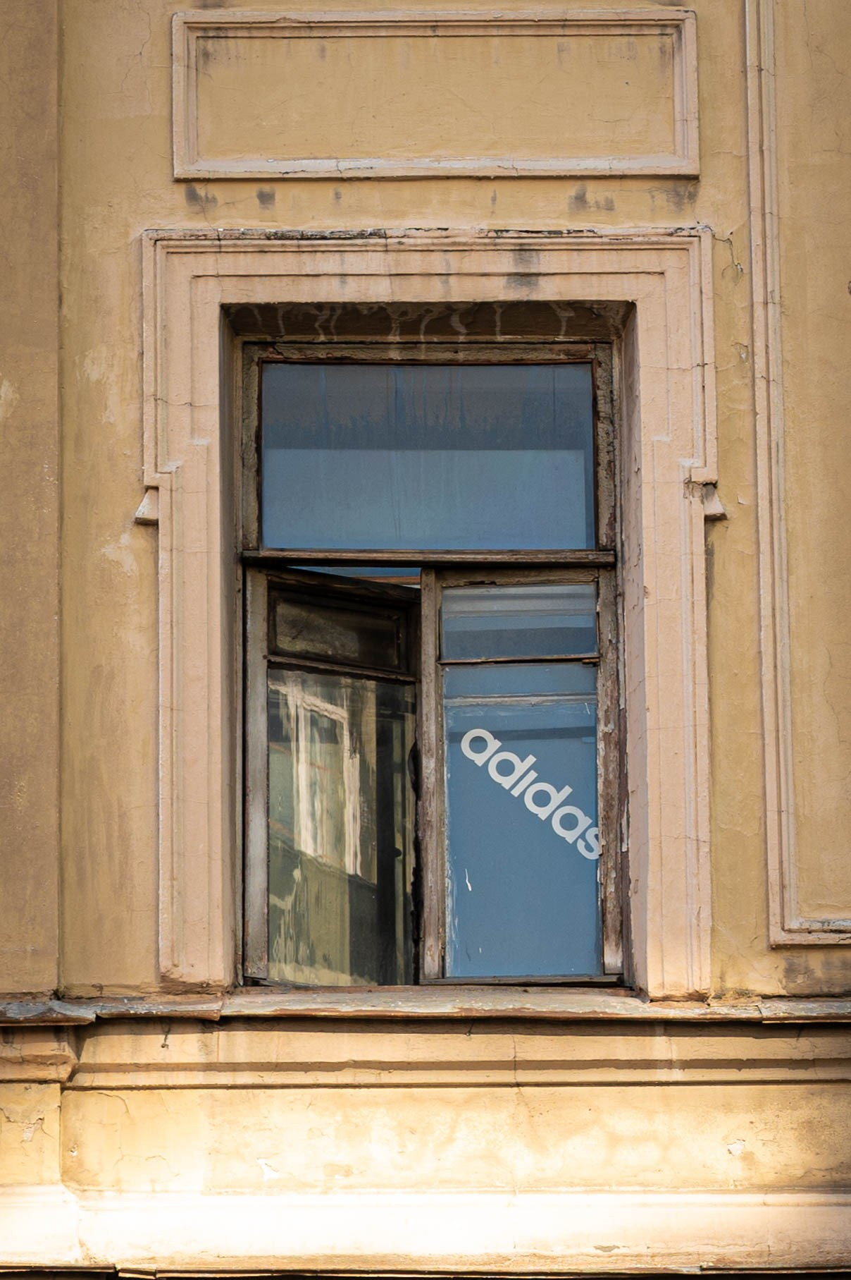 Репортажная фотосъёмка в Петербурге | Портретный фотограф Ольга Берёза. Экскурсовод в Санкт-Петербурге | Ольга Колоскова