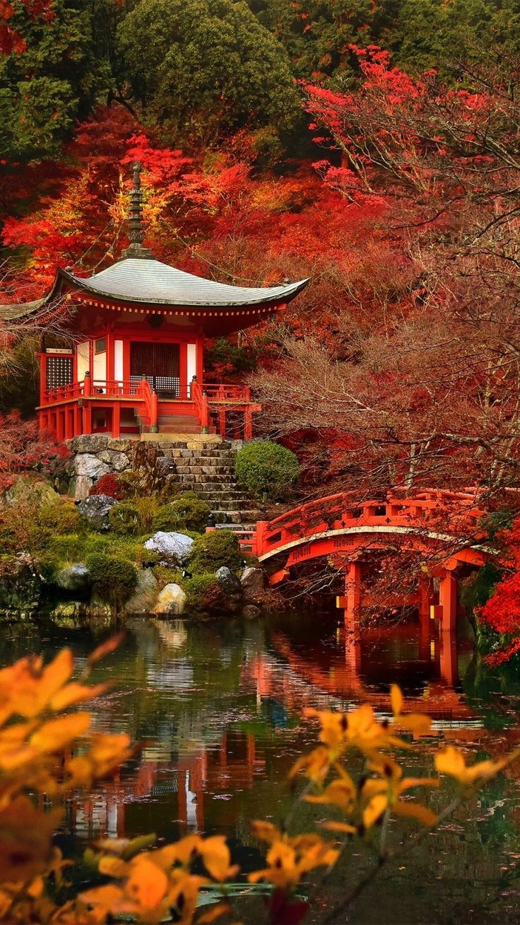 🇯🇵 ЯПОНИЯ. ПЕРВАЯ ЛЮБОВЬ — ноябрь 2027 года. СЕЙ: ЧАС — Авторские туры по миру с Алиной Крюковой
