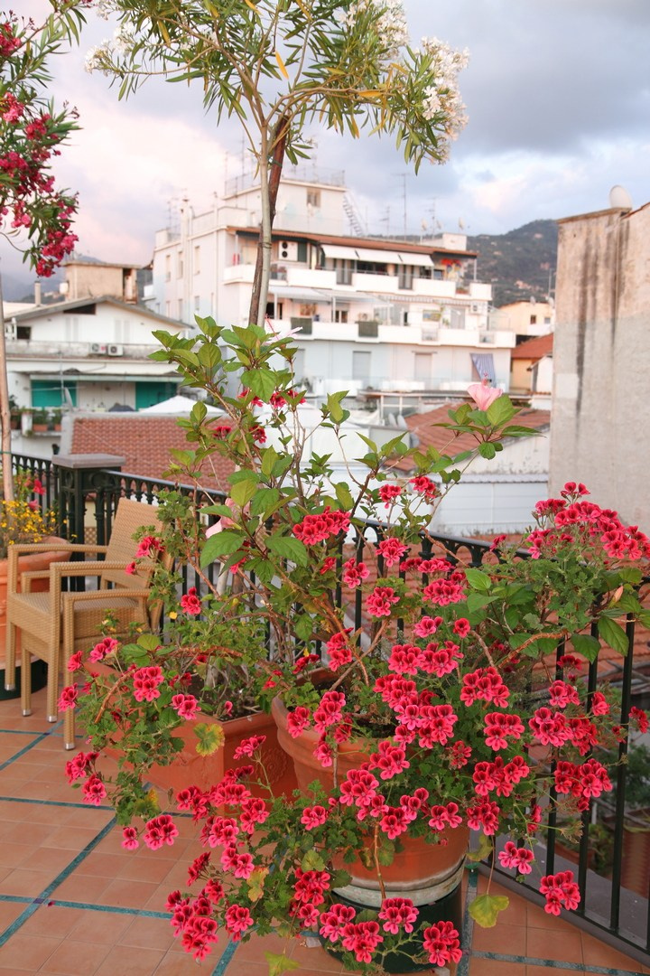 Италия. Сорренто 2011. Улица, люди, жизнь…