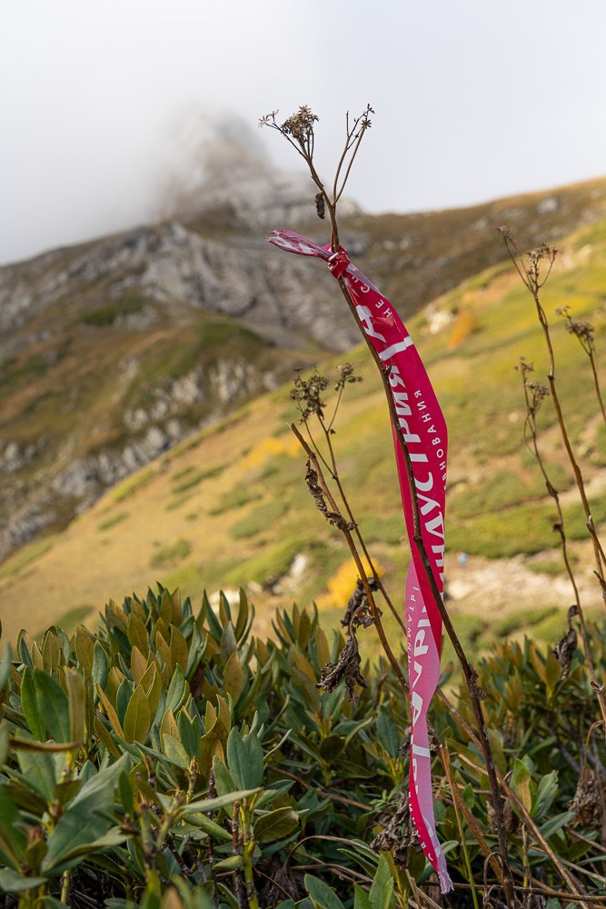 Трейловый бег «Альпиндустрия. Три курорта''. Репортажный фотограф в Красной Поляне и Сочи Павлюченко Екатерина