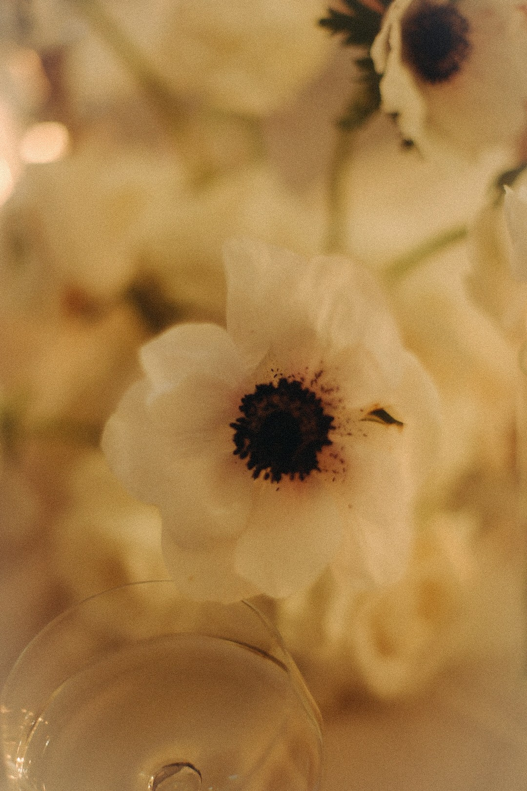 B-day. Фотограф Нижний Новгород