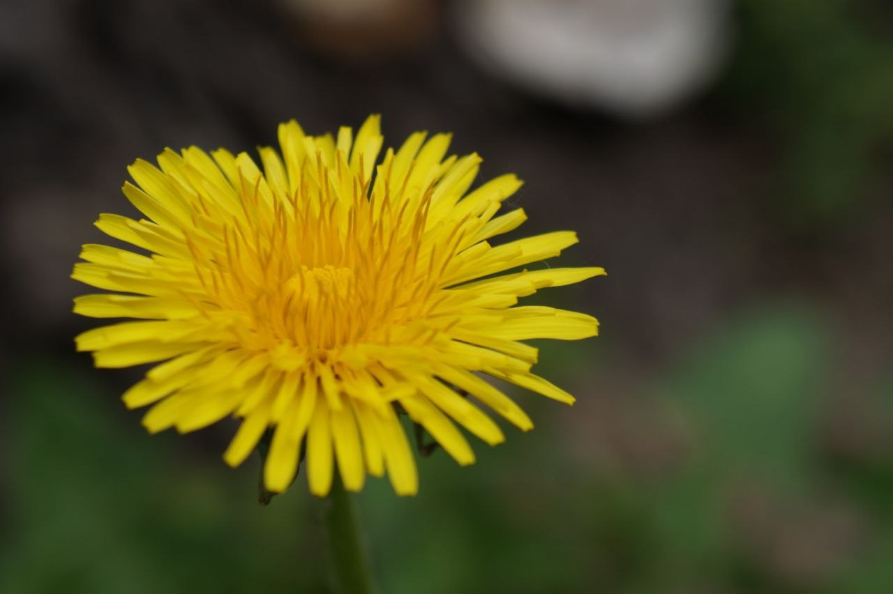 Портфолио. Фотограф в Москве Александра