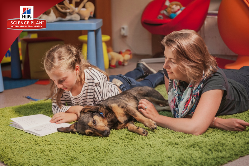 О фотографе TitAnya. Фотограф собак, фотограф-анималист Аня Титова (Titanya). Москва