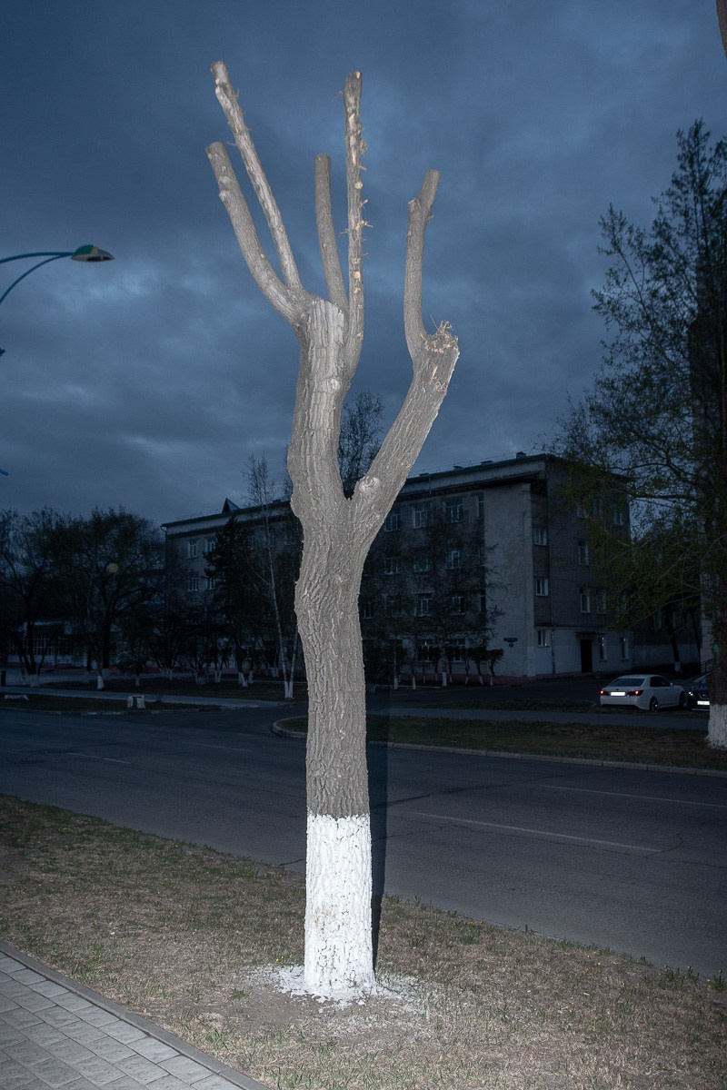 PATINA. Vasily Pindyurin visual artist