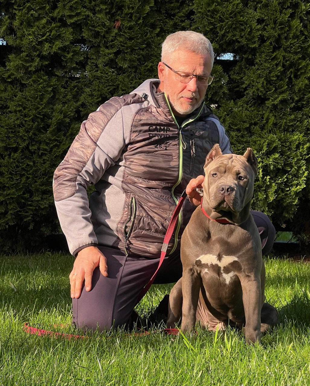 UPB’s Queenie & Zeus. 16.04.24. Американские булли XL в г. Калининград. Питомник Great Bully UNIVERSE