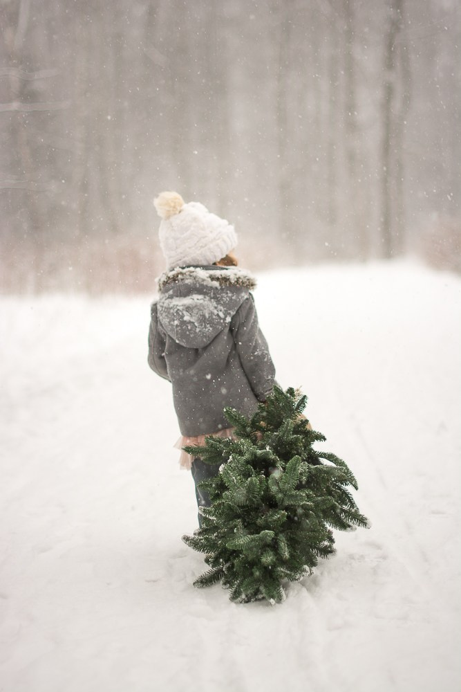Зима в лесу. Фотосессия беременности — Крылова Натали — Москва
