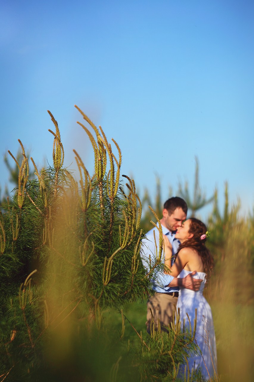 Свадебное портфолио фотографа. Свадебный и репортажный фотограф в Ярославле и Санкт-Петербурге Роман Микрюков