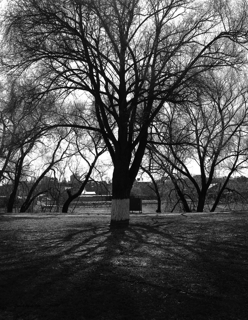 Мои первые работы. Фотограф из Москвы — DASHA NOVA | Авторская фотография в разных жанрах