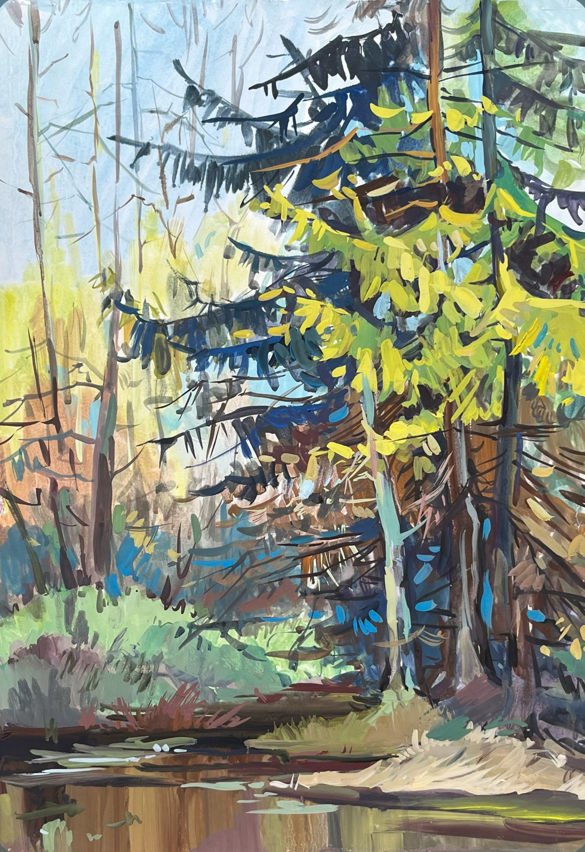 Коллекции. Ефремова Ольга. Художник