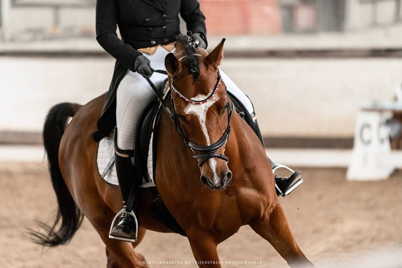 Муниципальные соревнования по выездке «Весенний Кубок КСК «Белая дача». Конный фотограф Куракина Дарья • Фотосессии с лошадьми