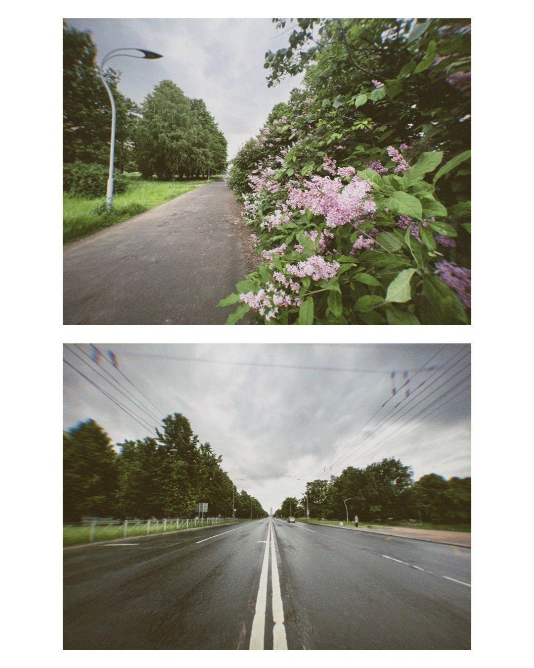 Saint-Petersburg. Alina Panover