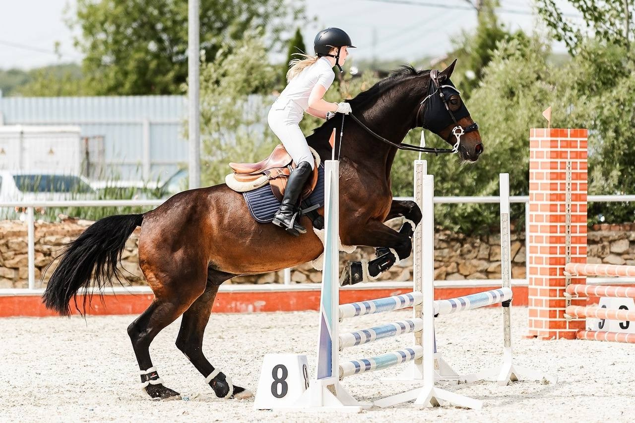 Летний кубок по конкуру КСК «КОНКОРД». Конный фотограф Куракина Дарья • Фотосессии с лошадьми