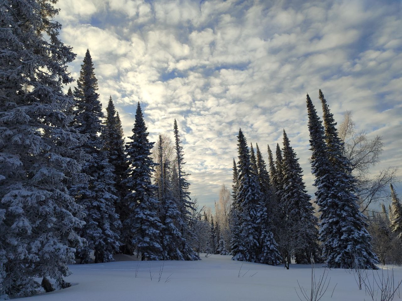 ШЕРЕГЕШ. Фотограф Наташа Лисица