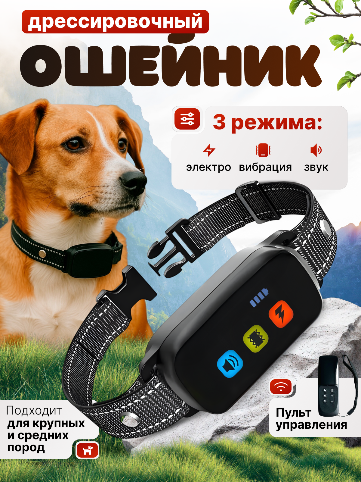 Инфографика. Съёмка одежды для маркетплейсов и брендов Morozova Production