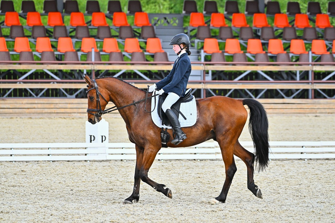 Отзывы. ТУРНИРНАЯ КОННАЯ ФОТОГРАФИЯ, Руднева Ольга и Евгений Адеев