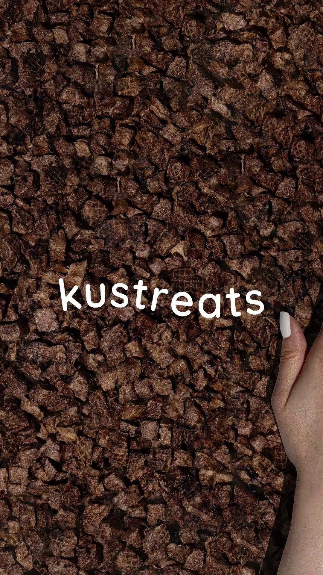 Motion анимация. Фотограф и motion аниматор Екатерина Синевич