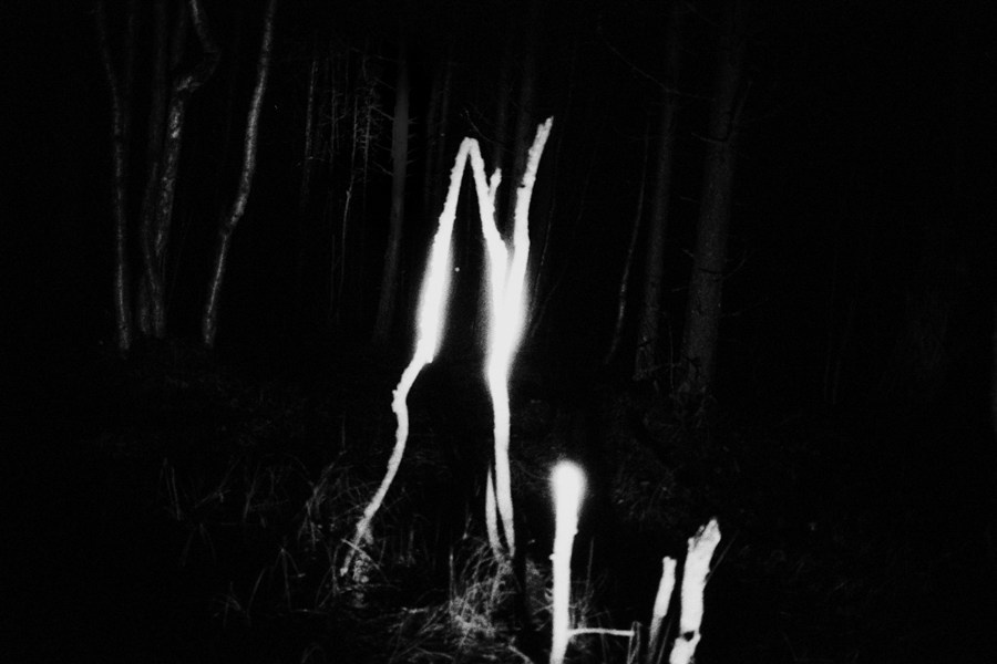 Summer Shore. Vitaly Severov