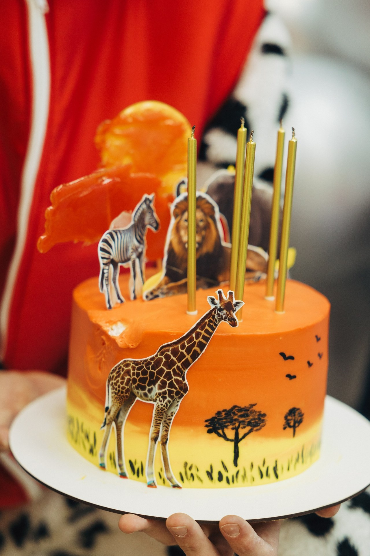 Отзывы. Свадебный и семейный фотограф в Астрахани Заскокина Анастасия