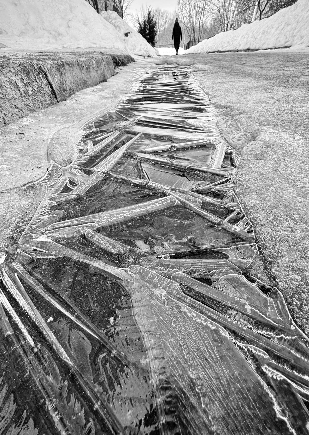 Выставка «Притяжение». Фотограф Юлия Близнецова