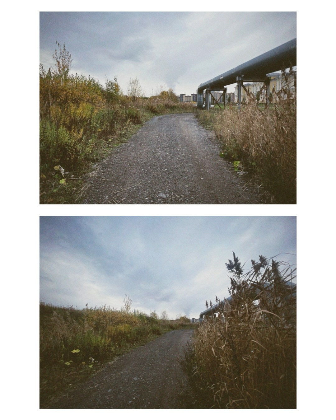 Saint-Petersburg. Alina Panover