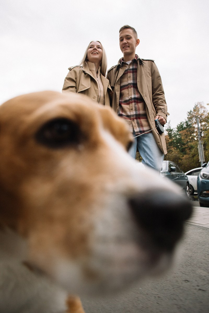 Алексей и Настя. Свадебный фотограф Челябинск, Екатеринбург, Курган — Виктор Слуднов