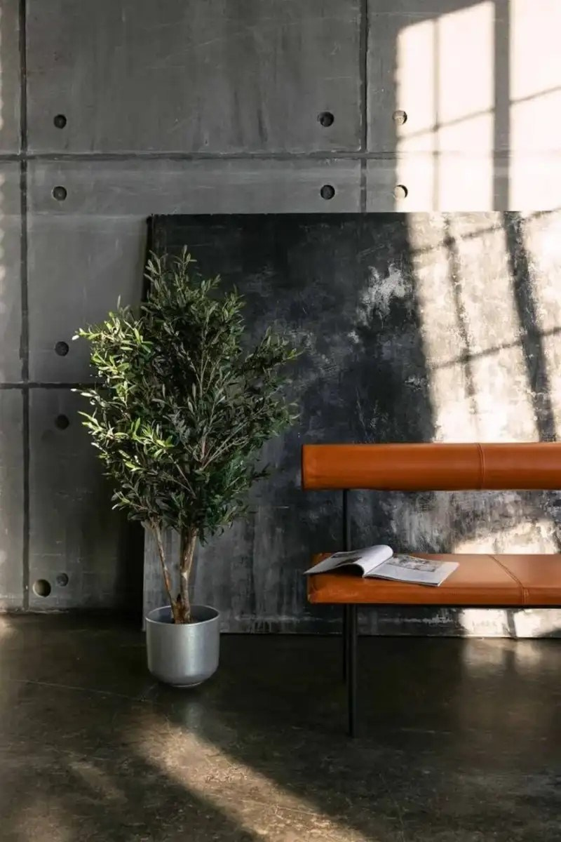 Лучшие фотостудии Москвы. Фото и видео Москва, Московский. Свадебный фотограф, видеограф, фотосессии, видеосъемка