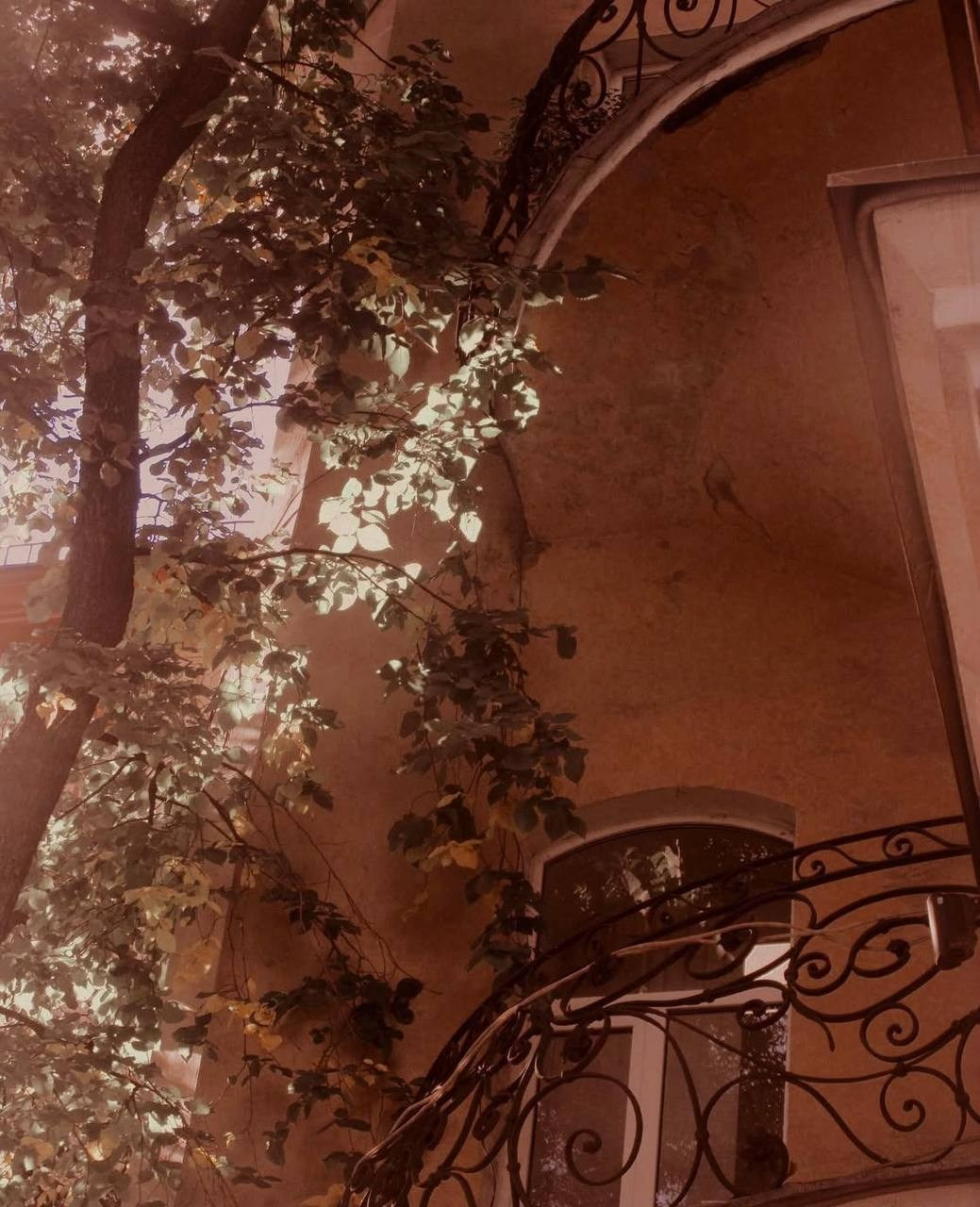 Видение. Костюмер, художник кино и телевидения в спб