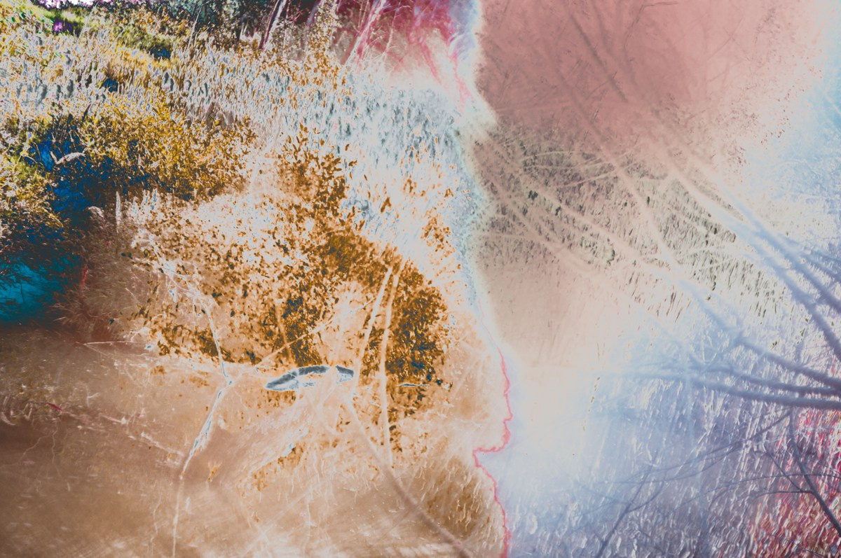 Magic forest. ПЕТР ПОПОВ | VISUAL ARTIST