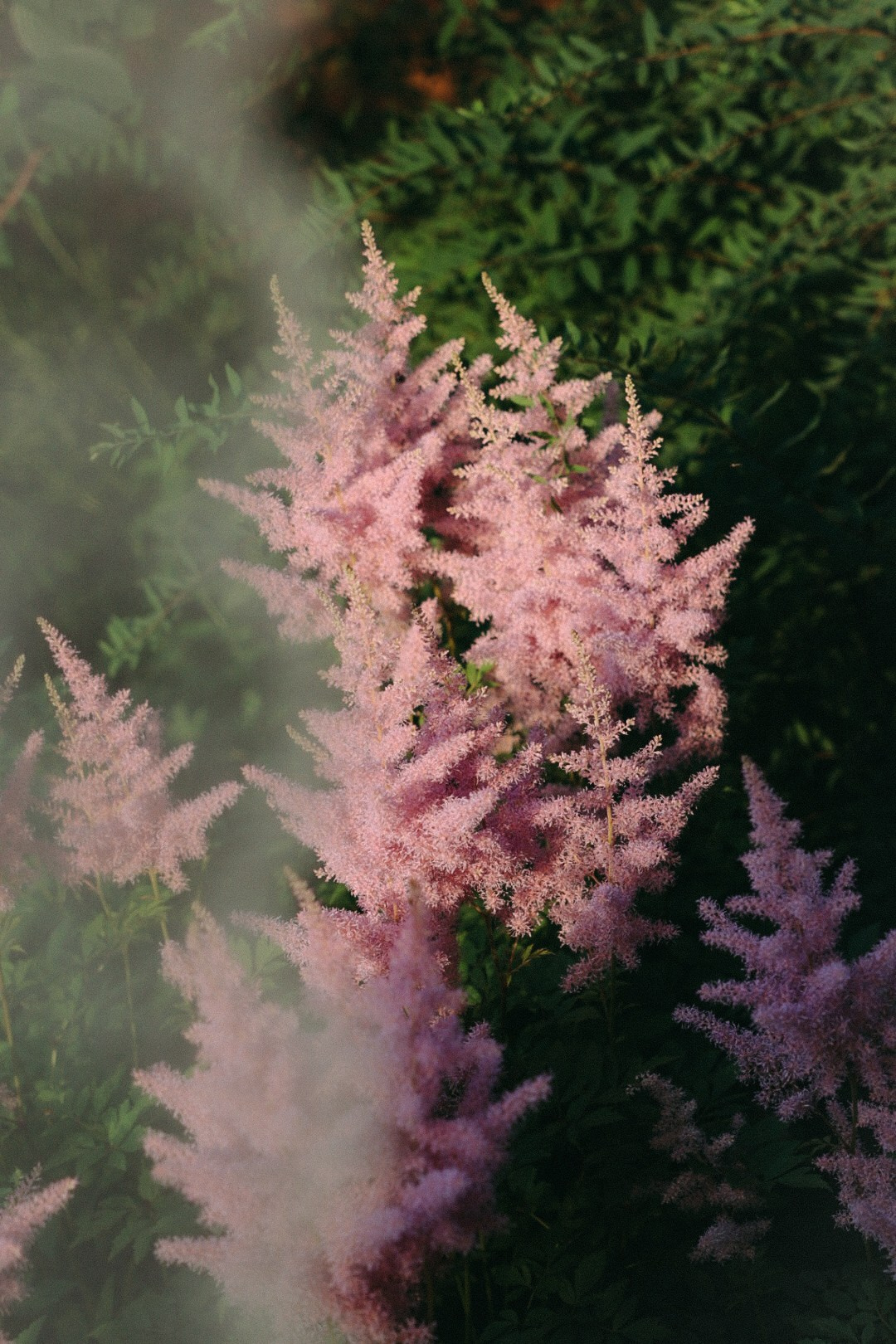 B-day. Фотограф Нижний Новгород