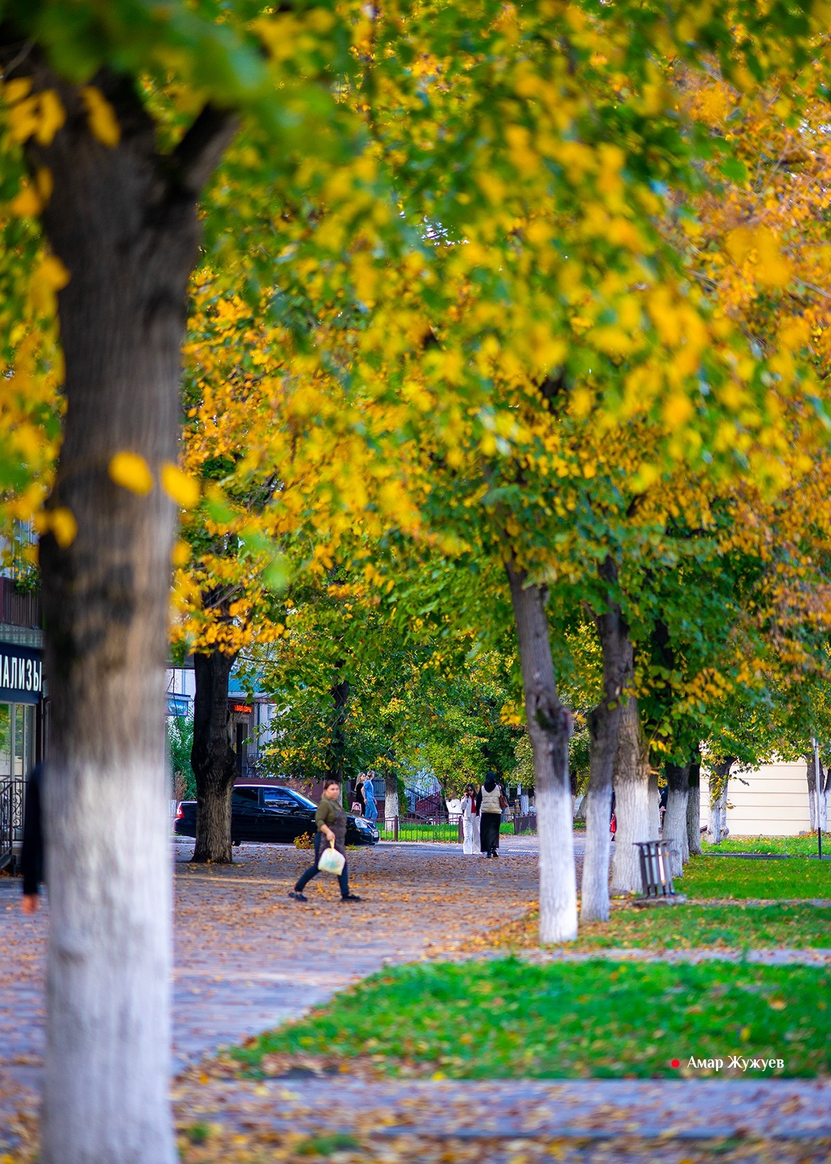 Фотографии города Черкесска. Фотограф из Черкесска Амар Жужуев