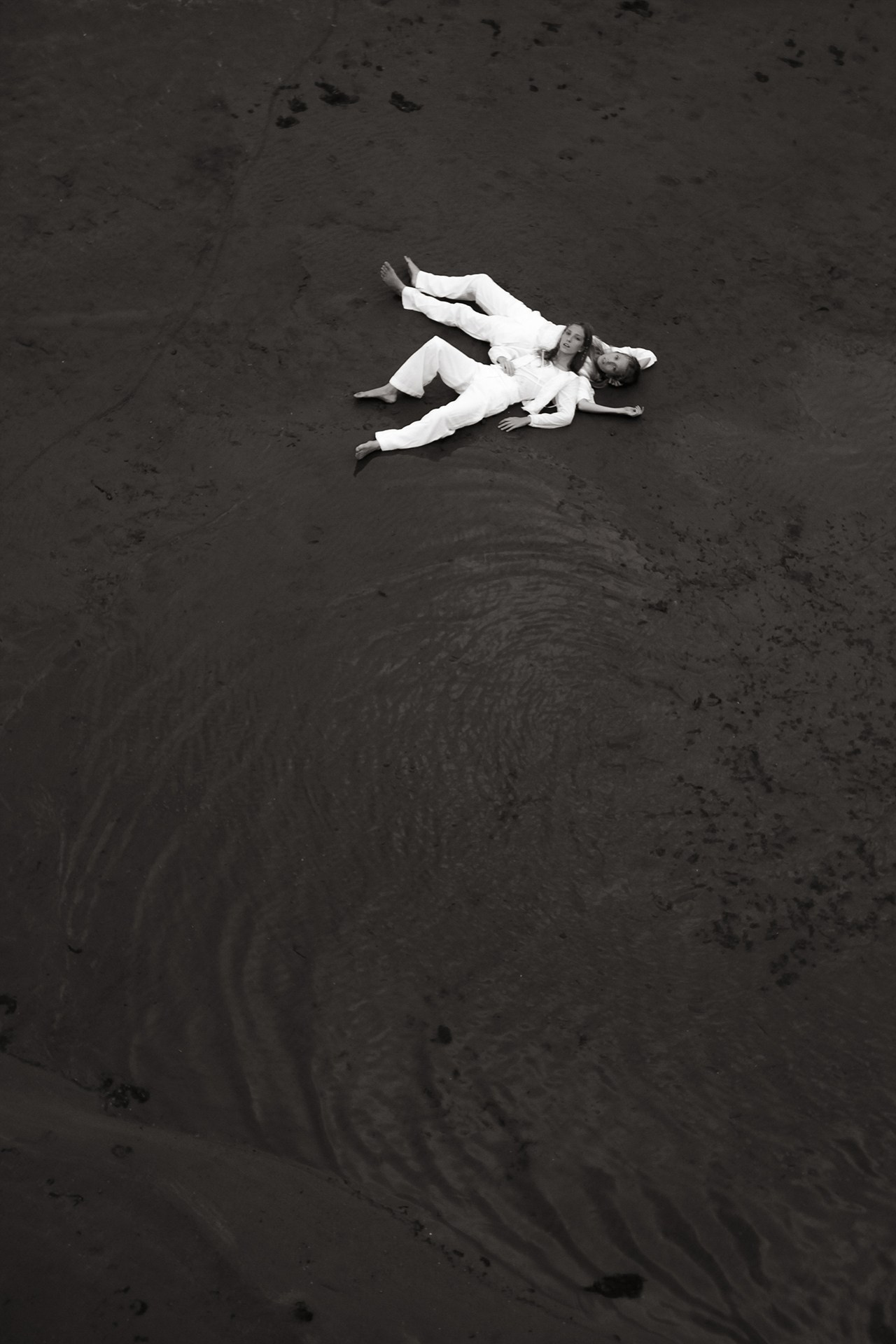 Seagulls