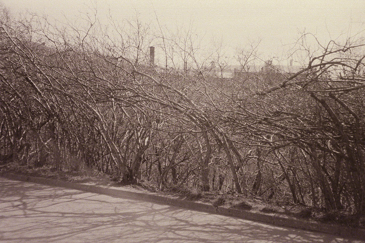 РАЗНОЕ. Андрей Пономарёв