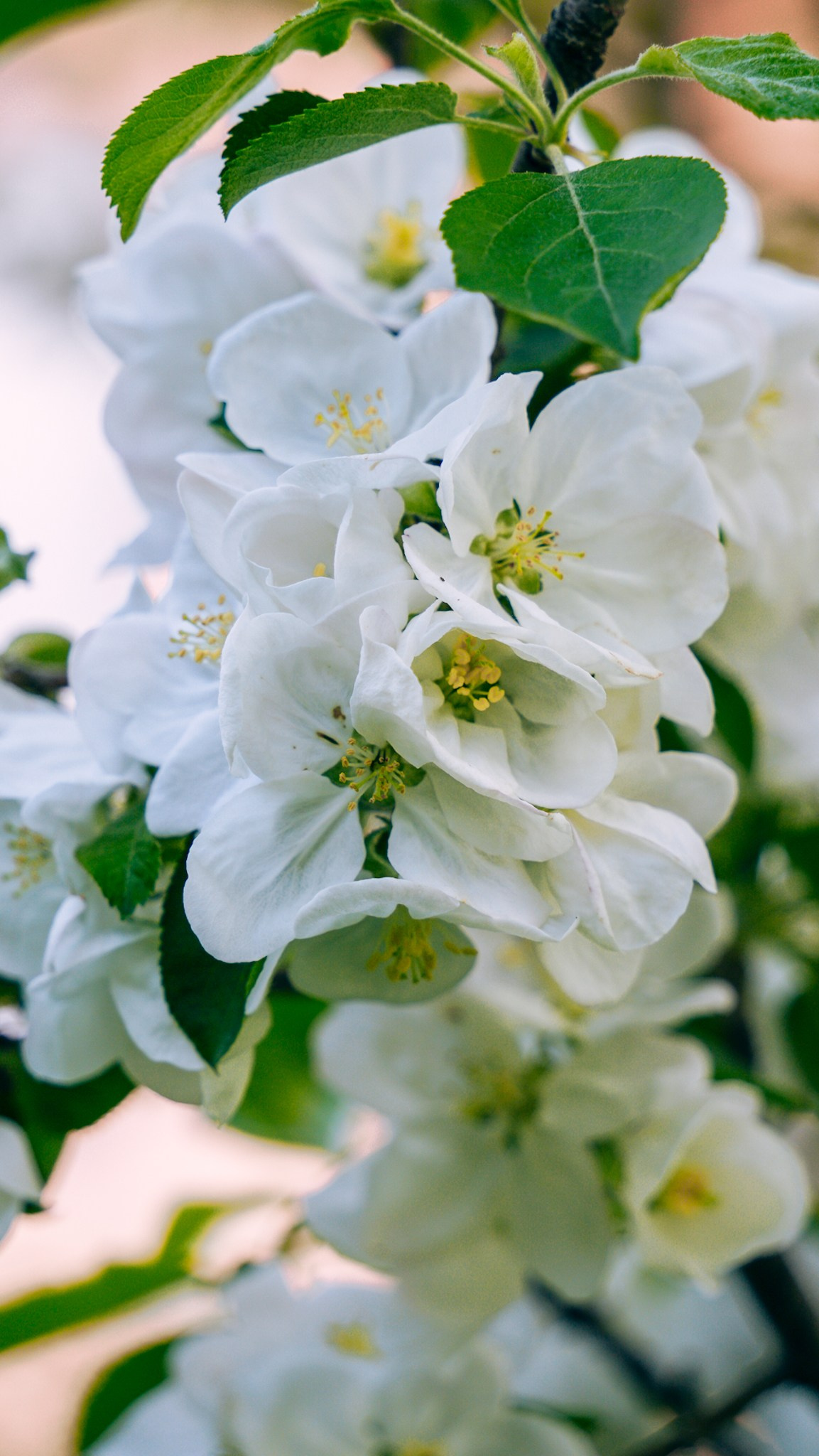 Кыргызстан. Человек с фотокамерой